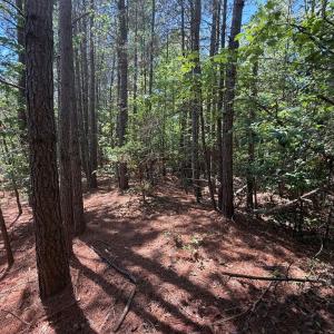 Mix Woods throughout the Property