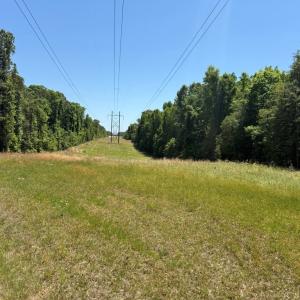 Photo #8 of TBD Flat Iron Road, Warsaw, VA 13.6 acres