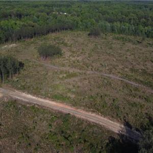 Photo #10 of Prince Edward Hwy, Rice, VA 63.0 acres