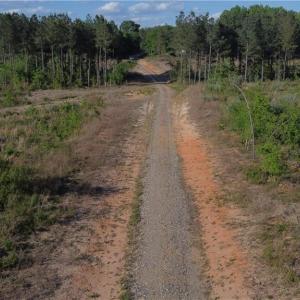 Photo #11 of Prince Edward Hwy, Rice, VA 63.0 acres