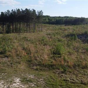 Photo #13 of Prince Edward Hwy, Rice, VA 63.0 acres
