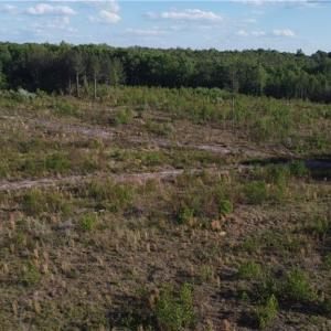 Photo #14 of Prince Edward Hwy, Rice, VA 63.0 acres