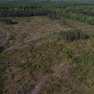 Photo #15 of Prince Edward Hwy, Rice, VA 63.0 acres