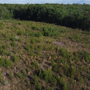 Photo #16 of Prince Edward Hwy, Rice, VA 63.0 acres