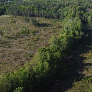 Photo #17 of Prince Edward Hwy, Rice, VA 63.0 acres