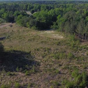 Photo #18 of Prince Edward Hwy, Rice, VA 63.0 acres