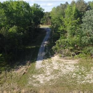 Photo #19 of Prince Edward Hwy, Rice, VA 63.0 acres