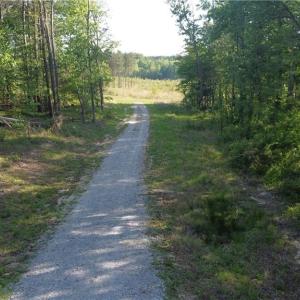 Photo #3 of Prince Edward Hwy, Rice, VA 63.0 acres