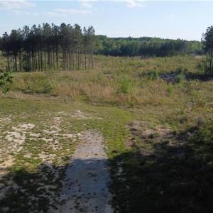 Photo #4 of Prince Edward Hwy, Rice, VA 63.0 acres