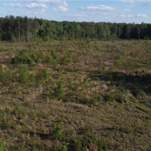 Photo #5 of Prince Edward Hwy, Rice, VA 63.0 acres