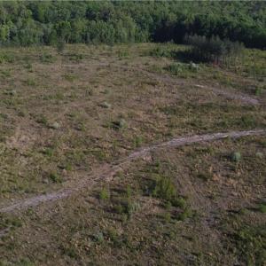 Photo #6 of Prince Edward Hwy, Rice, VA 63.0 acres