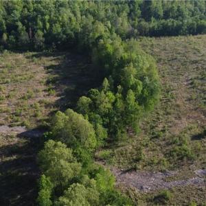Photo #7 of Prince Edward Hwy, Rice, VA 63.0 acres
