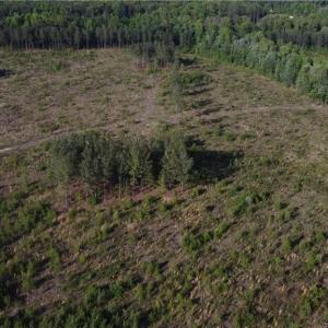 Photo #8 of Prince Edward Hwy, Rice, VA 63.0 acres