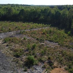 Photo #9 of Prince Edward Hwy, Rice, VA 63.0 acres