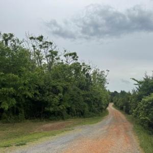 Photo #2 of 639 Millbank, Pamplin, VA 9.8 acres