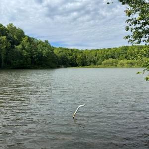 Photo #3 of 639 Millbank, Pamplin, VA 9.8 acres