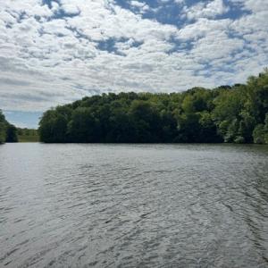 Photo #4 of 639 Millbank, Pamplin, VA 9.8 acres