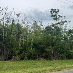 Photo #5 of 639 Millbank, Pamplin, VA 9.8 acres