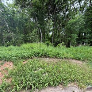Photo #3 of North Virginia St, Farmville, VA 0.2 acres