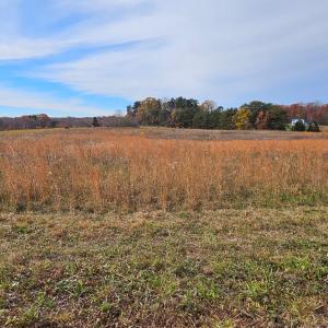Photo #10 of 60 W James Anderson Hwy, Buckingham Court House, VA 5.3 acres
