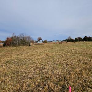 Photo #3 of 60 W James Anderson Hwy, Buckingham Court House, VA 5.3 acres