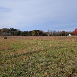 Photo #4 of 60 W James Anderson Hwy, Buckingham Court House, VA 5.3 acres