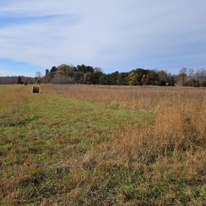 Photo #5 of 60 W James Anderson Hwy, Buckingham Court House, VA 5.3 acres