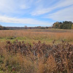Photo #7 of 60 W James Anderson Hwy, Buckingham Court House, VA 5.3 acres