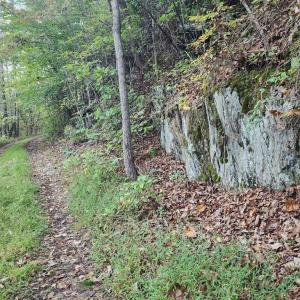 Photo #12 of River bottom Ln, Concord, VA 96.0 acres