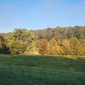 Photo #13 of River bottom Ln, Concord, VA 96.0 acres