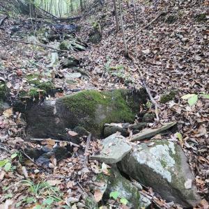 Photo #18 of River bottom Ln, Concord, VA 96.0 acres