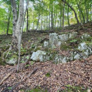 Photo #19 of River bottom Ln, Concord, VA 96.0 acres