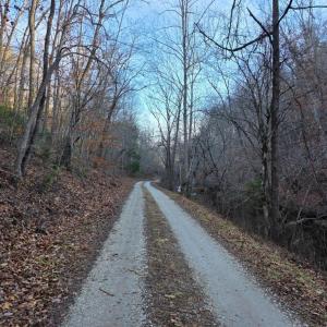 Photo #29 of River bottom Ln, Concord, VA 96.0 acres