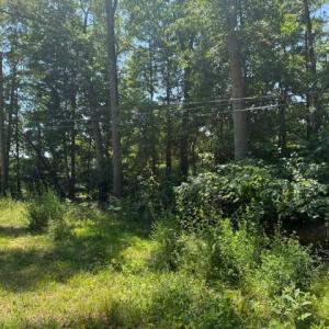 Photo #2 of 2878 Kentucky Ave, Phenix, VA 1.0 acres