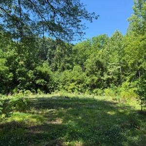 Photo #6 of 2878 Kentucky Ave, Phenix, VA 1.0 acres