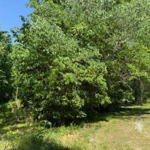 Photo #9 of 2878 Kentucky Ave, Phenix, VA 1.0 acres