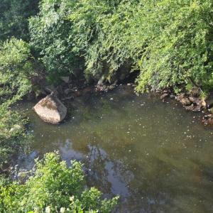 Photo #2 of 40 Lunenburg County Rd., Keysville, VA 93.0 acres