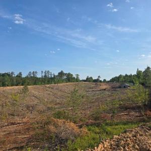 Photo #5 of 40 Lunenburg County Rd., Keysville, VA 93.0 acres