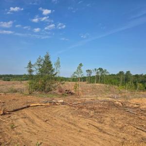 Photo #6 of 40 Lunenburg County Rd., Keysville, VA 93.0 acres