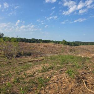 Photo #8 of 40 Lunenburg County Rd., Keysville, VA 93.0 acres