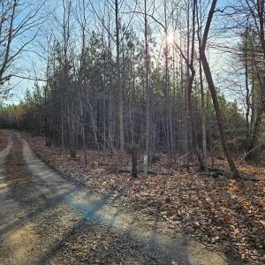 Photo #2 of 70 Ac Pleasant Mountain Dr, Rustburg, VA 70.0 acres