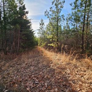 Photo #3 of 70 Ac Pleasant Mountain Dr, Rustburg, VA 70.0 acres