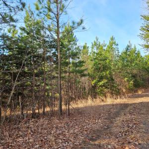 Photo #5 of 70 Ac Pleasant Mountain Dr, Rustburg, VA 70.0 acres