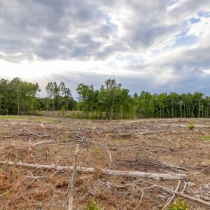 Photo #6 of West Creek Road, Crewe, VA 9.4 acres