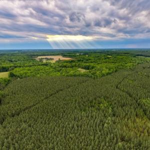 Photo #10 of West Creek Road, Crewe, VA 29.5 acres