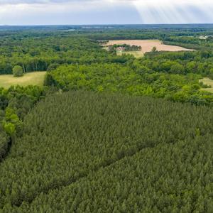 Photo #11 of West Creek Road, Crewe, VA 29.5 acres