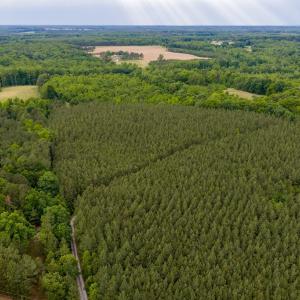 Photo #12 of West Creek Road, Crewe, VA 29.5 acres