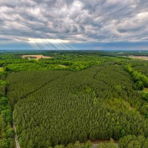 Photo #13 of West Creek Road, Crewe, VA 29.5 acres