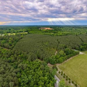 Photo #14 of West Creek Road, Crewe, VA 29.5 acres