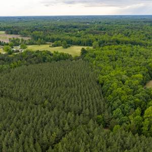 Photo #15 of West Creek Road, Crewe, VA 29.5 acres